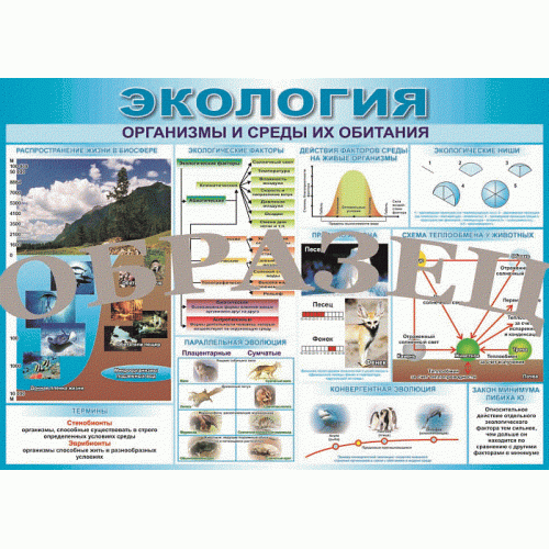 Таблица Организмы и среды их обидания 1000*700 (винил)