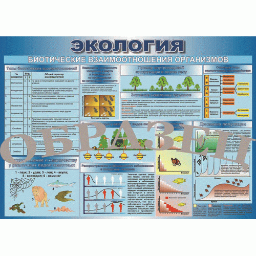Таблица Биотические взаимоотношения организмов 1000*700 (винил)