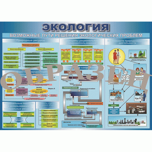 Таблица Возможные пути решения экологических проблем 1000*700 (винил)