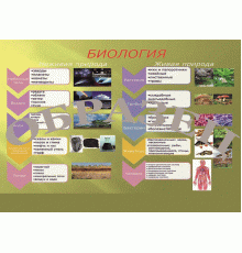 Таблица Биология Живая и неживая природа 1000*1400 винил