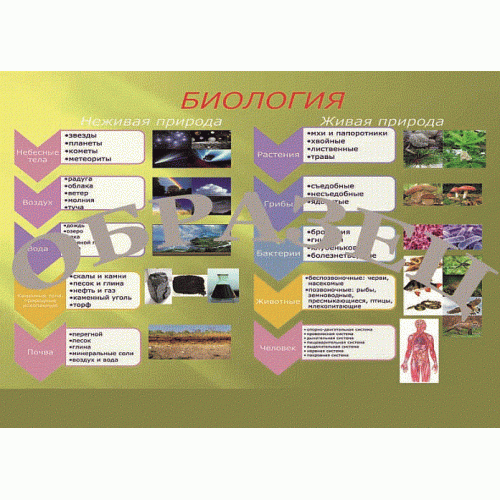 Таблица Биология Живая и неживая природа 1000*1400 винил