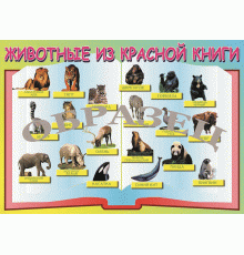 Таблица Животные красной книги 1000*1400 винил