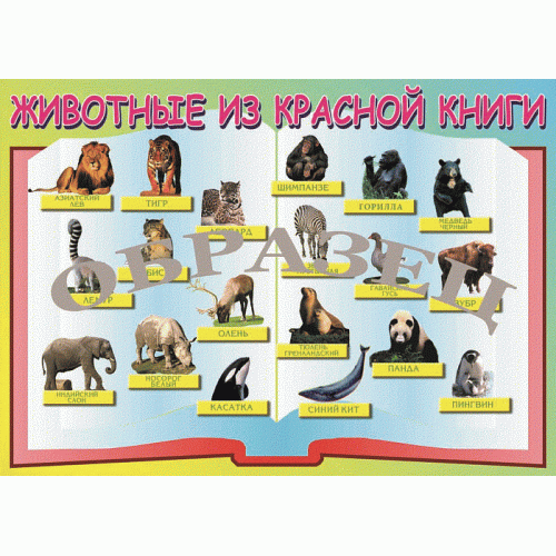Таблица Животные красной книги 1000*1400 винил