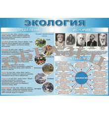 Таблица Экология. Определение, история, структура 1000*1400 винил