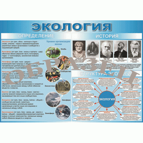 Таблица Экология. Определение, история, структура 1000*1400 винил