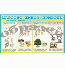 Таблица Царство живой природы 1000*1400 винил