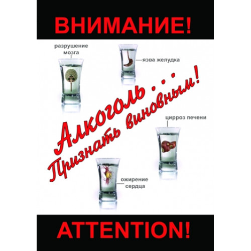 DVD ОБЖ. Алкоголь. Признать виновным
