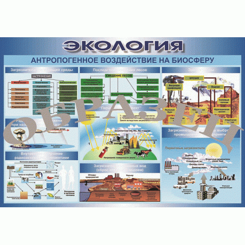 Таблица Антропогенное воздействие на биосферу 1000*700 (винил)