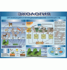 Таблица Организация и функционирование сообществ 1000*700 (винил)